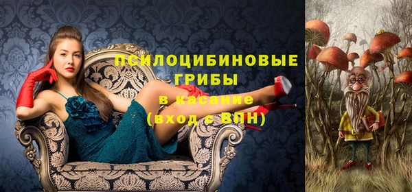 хмурый Переславль-Залесский