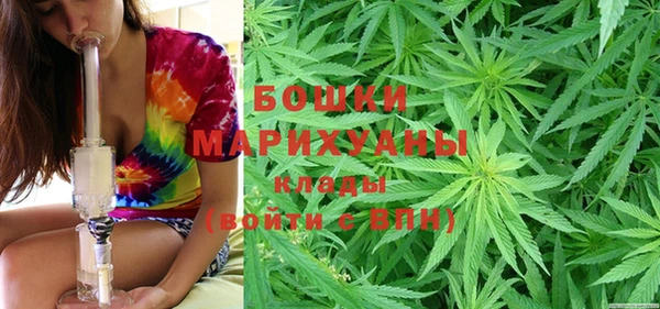 спайс Гусев