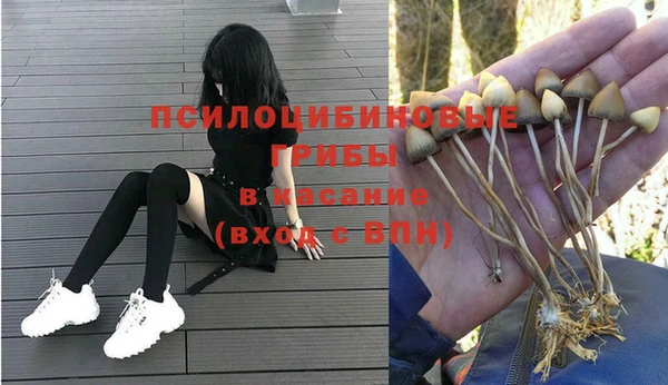 прущая мука Осташков