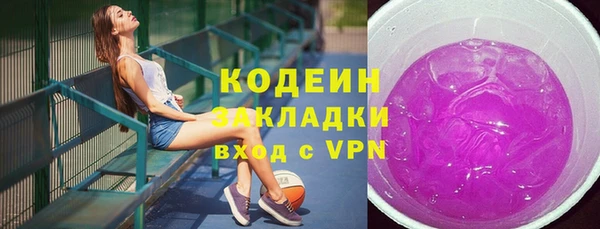 спиды Пересвет