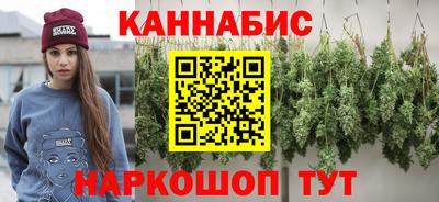 шишки Дубна