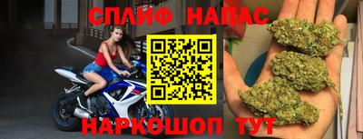 шишки Дубна