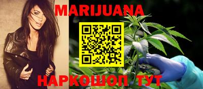 шишки Дубна