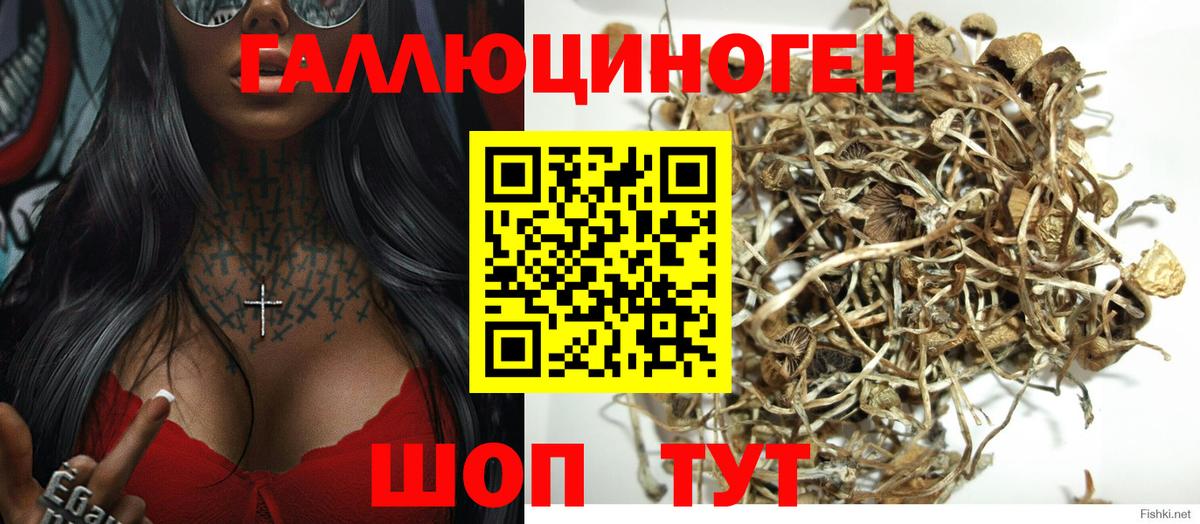 Галлюциногенные грибы MAGIC MUSHROOMS  Клинцы  Галлюциногенные грибы Magic Shrooms 