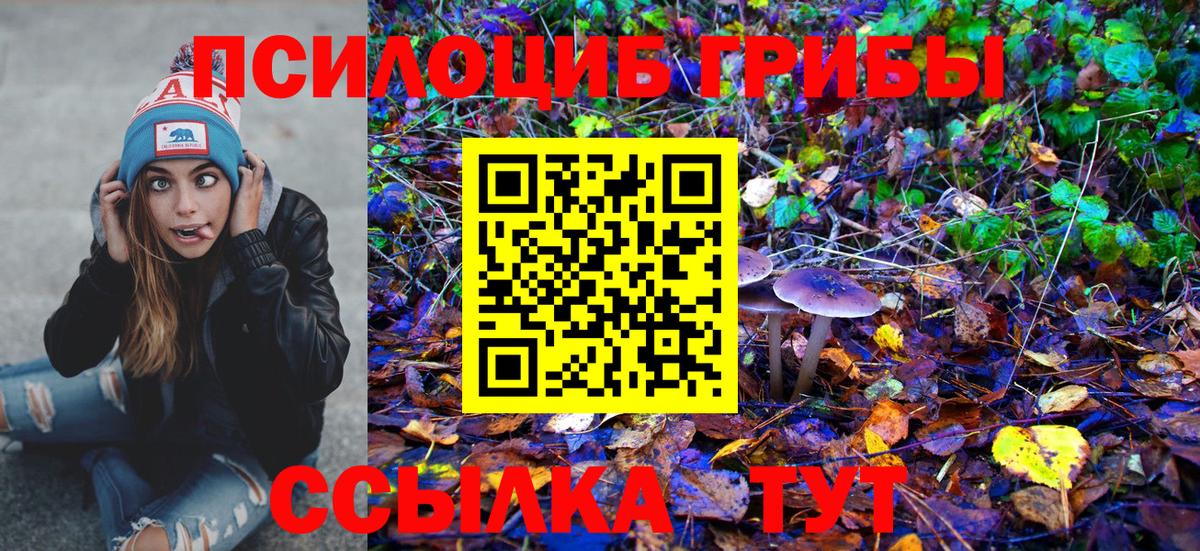 Галлюциногенные грибы Cubensis  Псилоцибиновые грибы Psilocybe  купить наркотик  Вход с VPN  Клинцы 