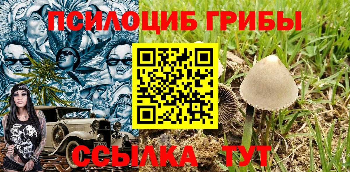 Псилоцибиновые грибы GOLDEN TEACHER Клинцы
