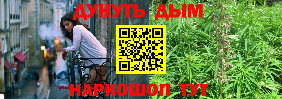 Конопля Amnesia  Бошки Шишки планчик  Клинцы  Канабис Amnesia  Вход с VPN 